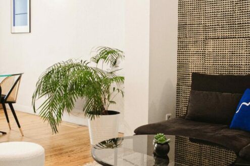 Salon chic avec canapé noir, table basse en verre et plante