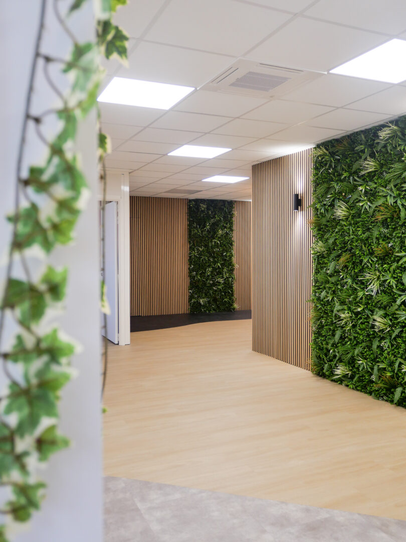 Couloir décoré de plantes grimpantes et de panneaux en bois dans un local professionnel à Toulouse, rénové par un architecte d'intérieur.